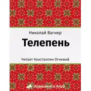 Постер книги Телепень