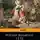 Гёте Иоганн Вольфганг - Страдания юного Вертера