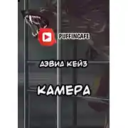 Постер книги Камера