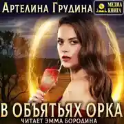 Постер книги В объятьях орка