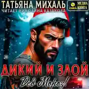 Постер книги Дикий и злой Дед Мороз!