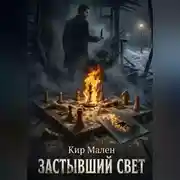 Постер книги Застывший свет