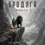 Постер книги Бродяга Книга пятая