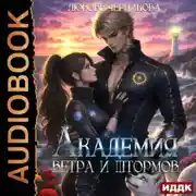 Постер книги Академия ветра и штормов