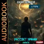 Постер книги Рассвет Эринии. Книга 1. Запуск
