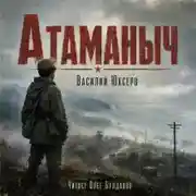 Постер книги Атаманыч