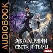 Постер книги Академия света и тьмы