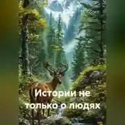 Постер книги Истории не только о людях
