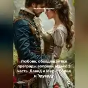 Постер книги Любовь, обходящая все преграды, вопреки всему! 5 часть. Давид и Мери, Софья и Эдуарду.