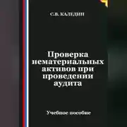 Постер книги Проверка нематериальных активов при проведении аудита