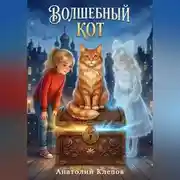 Постер книги Волшебный КОТ