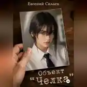 Постер книги «Объект «Челка»