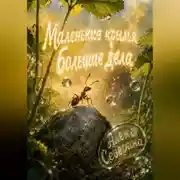 Постер книги Маленькие крылья, большие дела