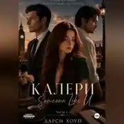 Постер книги КАЛЕРИ. Someone Like U