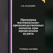 Постер книги Проверка материально-производственных запасов при проведении аудита