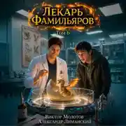 Постер книги Лекарь Фамильяров. Том 6