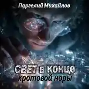Постер книги Свет в конце кротовой норы