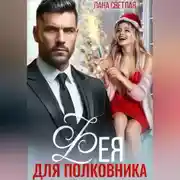 Постер книги Фея для полковника