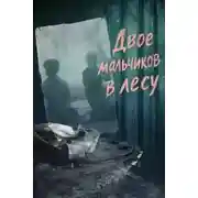 Постер книги Двое мальчиков в лесу
