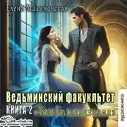 Постер книги Ведьминский факультет. Книга вторая. Котел невезения