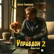 Постер книги Управдом-2