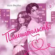 Постер книги Помешательство