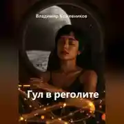 Постер книги Гул в реголите