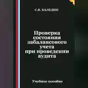 Постер книги Проверка состояния забалансового учета при проведении аудита