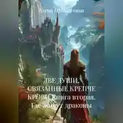 Постер книги ДВЕ ДУШИ, СВЯЗАННЫЕ КРЕПЧЕ КРОВИ Книга вторая. Где живут драконы