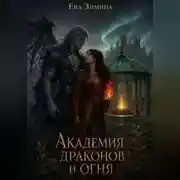 Постер книги Академия драконов и огня