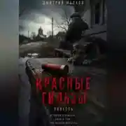 Постер книги Красные гильзы