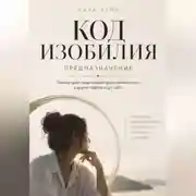 Постер книги Код изобилия. Предназначение