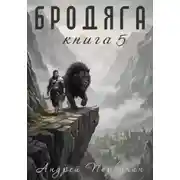 Постер книги Бродяга. Книга 5