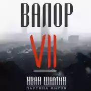 Постер книги Валор 7