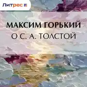 Постер книги О С. А. Толстой