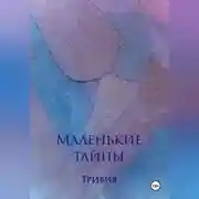 Постер книги Маленькие тайны
