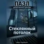 Постер книги Стеклянный потолок