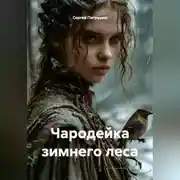 Постер книги Чародейка зимнего леса