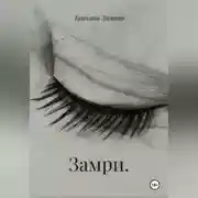 Постер книги Замри.
