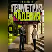 Постер книги Геометрия падения: Асимметрия чувств