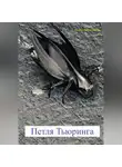 Константин Филиппов - Петля Тьюринга