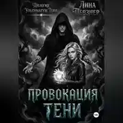 Постер книги Провокация тени