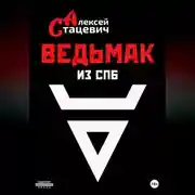 Постер книги Ведьмак из СПб