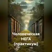 Постер книги Человеческая НЕГА (практикум)