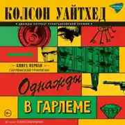 Постер книги Однажды в Гарлеме