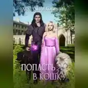 Постер книги Попасть в кошку 3