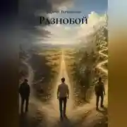 Постер книги Разнобой
