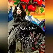 Постер книги Приключение Янди (часть 2)