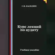 Постер книги Курс лекций по аудиту