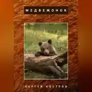 Постер книги Медвежонок